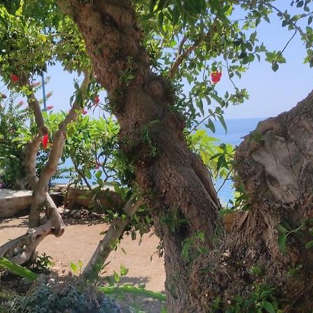 شقة Sifis Place Léntas المظهر الخارجي الصورة